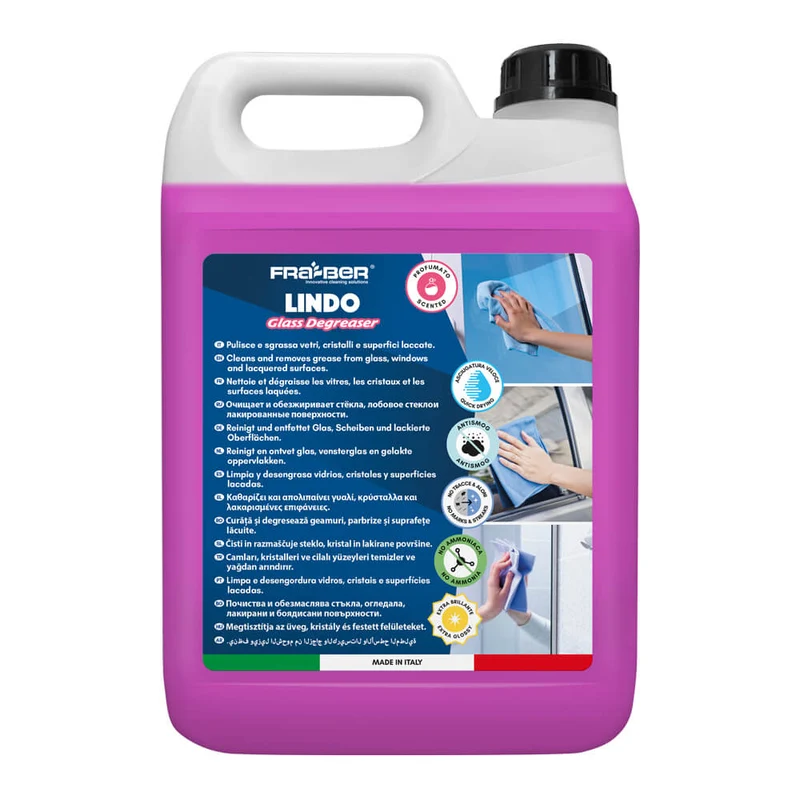 Lindo di Fra-Ber Detergente per Vetri Auto Professionale