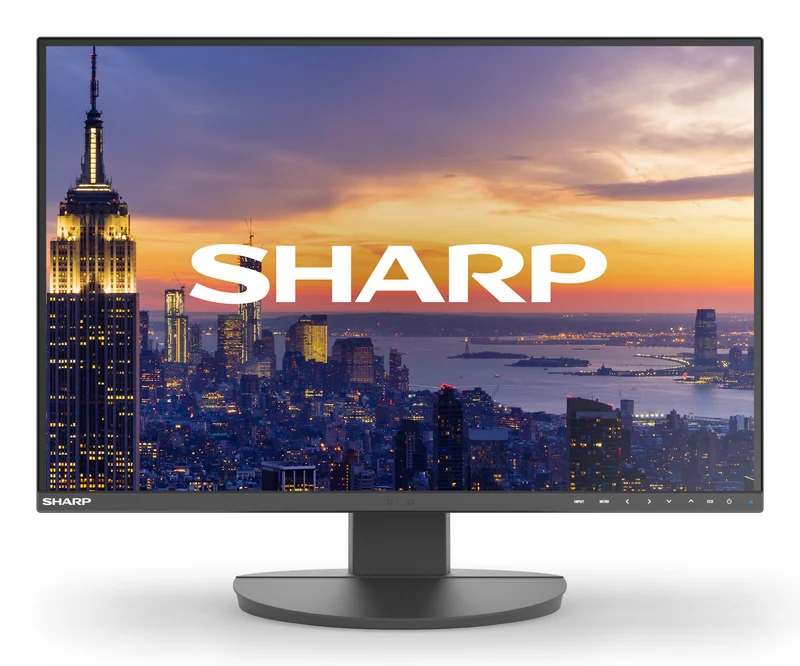 Sharp MultiSync EA242W Monitor 24" IPS LCD 1920x1200 Full HD 16:10 5ms USB Hub VESA Nero
