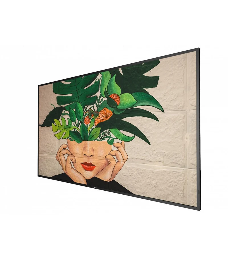 Philips Pannello A Digitale 55BDL4511D/00 55 pollici 4K Ultra HD 500 cd/m²