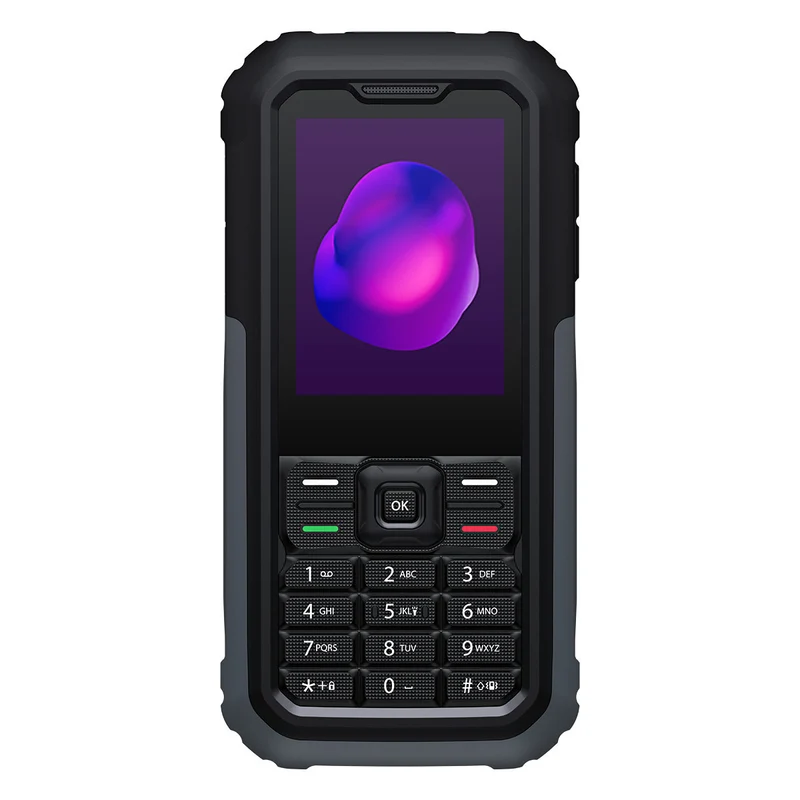TCL 3189 Cellulare 4G Doppia SIM Schermo 2.4" Fotocamera 2MP Nero/Grigio
