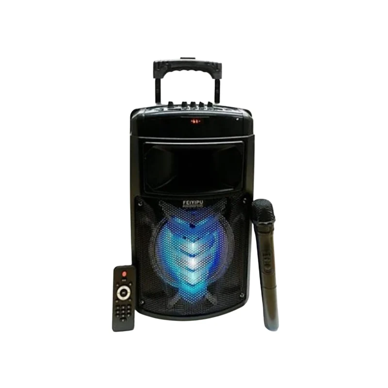 Cassa Amplificata 2000w, Ricaricabile, Maniglia, Bluetooth, Radio, SD/USB, Aux