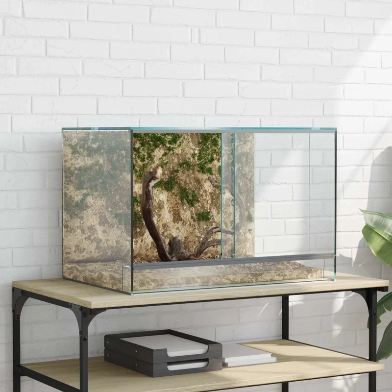 Terrario con archiviazione Trasparente 60 x 40 x 40 cm Vetro 42020391
