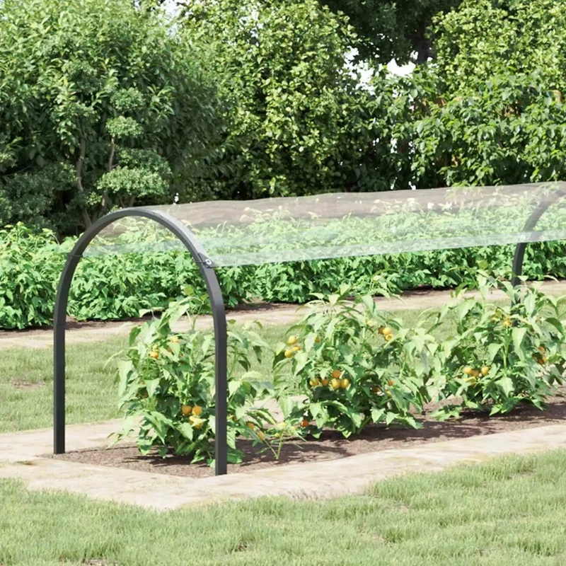 Copertura per Piante 1,5 x 10 m PVC Trasparente 3429369